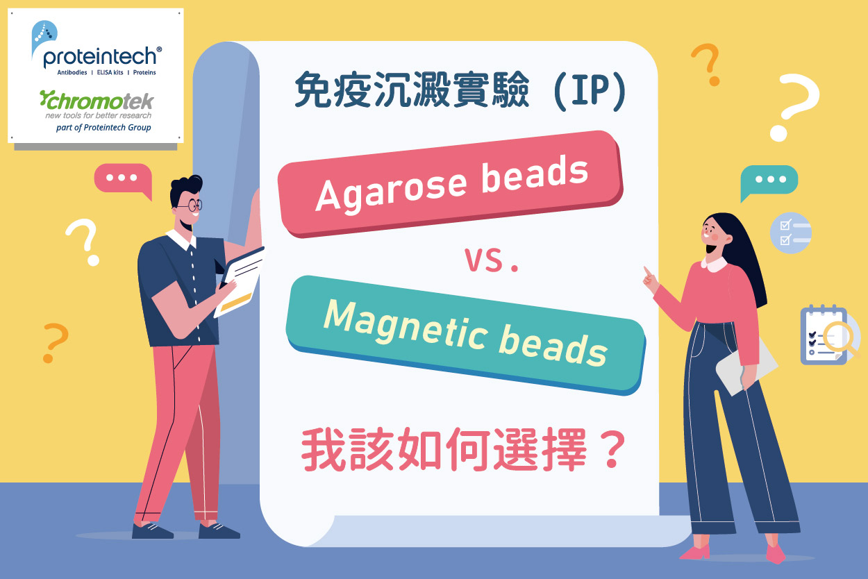 免疫沉澱實驗(IP) Agarose beads vs. beads 我該如何選擇？
